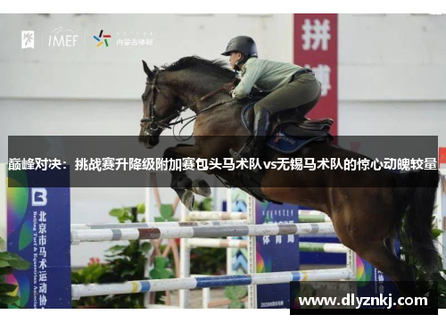 巅峰对决：挑战赛升降级附加赛包头马术队vs无锡马术队的惊心动魄较量